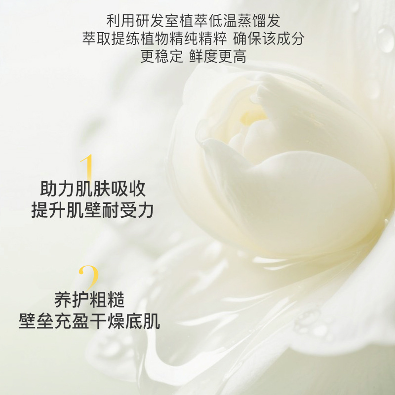 Jiyu Camellia Essential Oil para nutrir la piel, bloquear el agua, hidratar y brillar la piel.