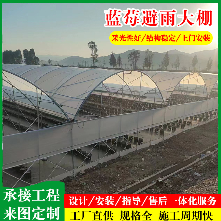 连栋避雨大棚湖南湖北种植蓝莓大棚镀锌钢管骨架温室连栋连体大棚