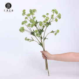 工厂直销 欧洲星芹满天星蕾丝花蒲公英 婚庆花束摄影家居花艺设计