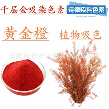 ����ǧ�ӽ���Ⱦ ֲ��ˮ����ɫ�� �Ї��t ��ɫ ��ȸ����ܽ�o��