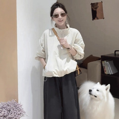 韩系立领短款冲锋衣外套女2025秋季新款休闲显瘦百搭洋气夹克上衣