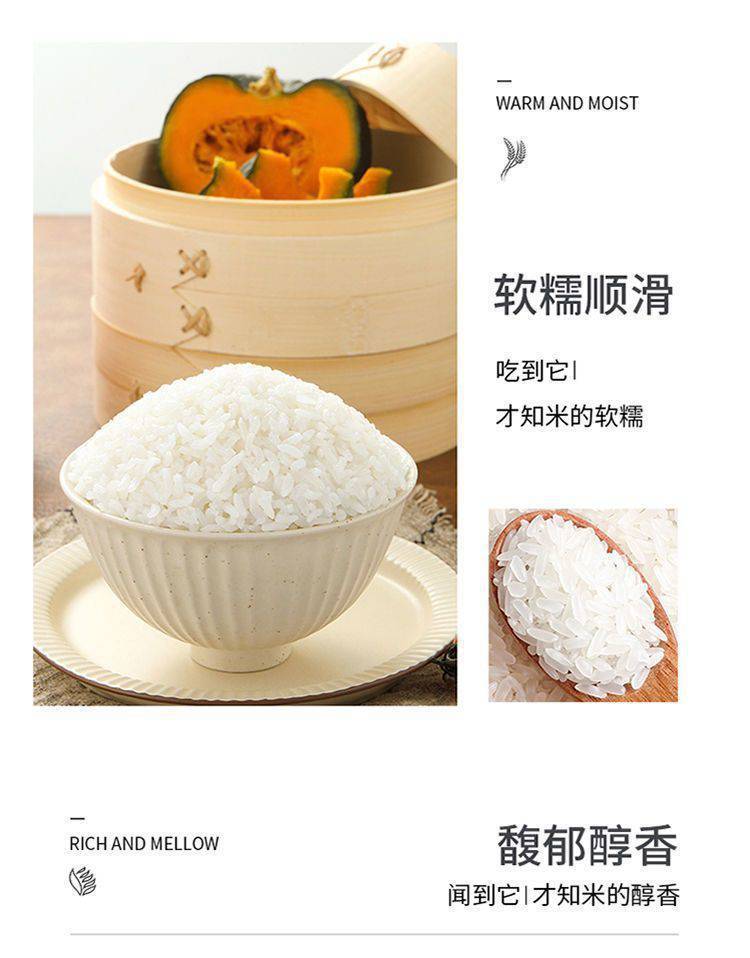 b2e8a44c-2330-463f-be41-fdcd3e6e6273.jpe