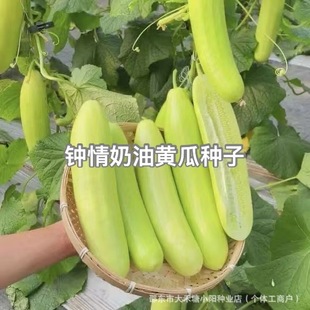 �R�������S�ϷN�Ӱ�����ϴ����ļ��߮a���ˮ���S�ϷN����Ʒ�N