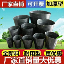 ��ľ�I�B������һ���Դ�������N���辰�Nֲ�ڰ�Ĥ�����Ѩ�P��