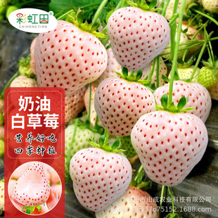 ���Ͳ�ݮ�N�Ӵ�����������ײ�ݮ�N���ļ��r�Ҵ���ˮ����֧�ִ��l