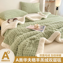 A��Ứ�A���ͺ�ë̺�p�ӼӺ��p��q���q���e�w̺��˯̺��