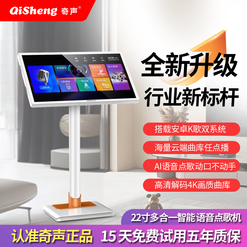 Qisheng 2025 New Home Ktv Audio Set All-In-One Karaoke Machine Full Set of Karaoke Home Singing Equipment