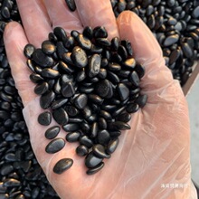 庭院黑色小石子地鹅暖石鹅卵石园林石铺路雨花石大石头白色大批量