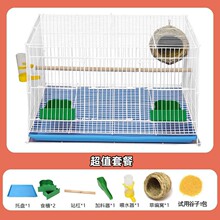 �F�\���ӻ\���ۻ�Ƥ�˸��Bֳ�\�����B�\��ֳ�\��̖�ش���A�W�^�\