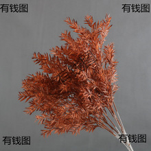 ��ɫϵ��c������ɫ��ɫ��Y��ܛ�b���ý������⻨�Ĳ廨�~�����l