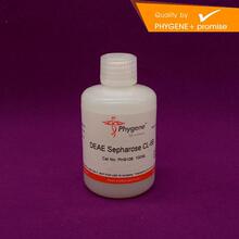 PH9109 DEAE Sepharose CL-6B DEAE-琼脂糖凝胶 CL-6B Phygene