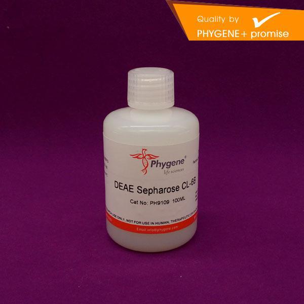 PH9109 DEAE Sepharose CL-6B DEAE-琼脂糖凝胶 CL-6B Phygene