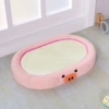 Oval cute pig