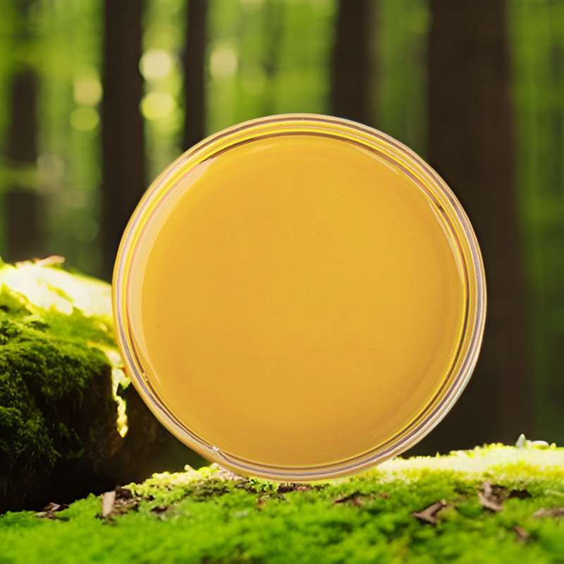 藻油DHA40%-50% 裂壶藻油 微藻油 二十二碳六烯酸 另有藻油微囊粉