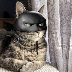 猫のバットマンヘッドセットBat Cat avレンジャーマスクコウモリ猫アベンジャーマスク半顔ヘルメット