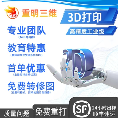 3D Printing Service Prototype Processing Photosensitive Resin Abs Nylon Mjf Metal Slm Prototype Model Silicone Replica Mold