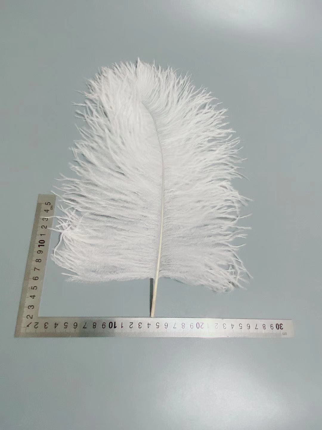 65e4737be58b31d8e46ee09af0b4b3