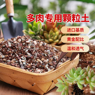 Free shipping fleshy special granular soil plant planting nutrition soil paving stone ceramsite potted flower imported peat soil