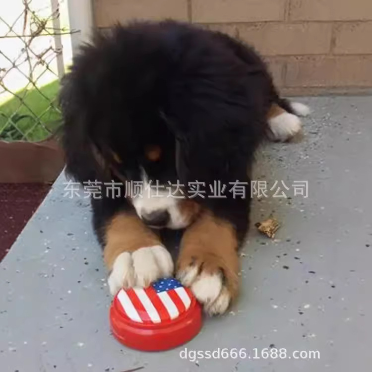 Caja de grabación de perro batter   Juguetes divertidos para perros y mascotas auto-hi alivio de aburrimiento exprimir caja de grabación de voz