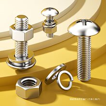 304���P䓴���^ʮ���ݽz��ĸ���bƽ���|ƬĢ�����^��˨�M�ϴ�ȫ