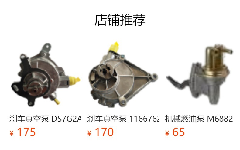 Vacuum Pump for Brake 5282085