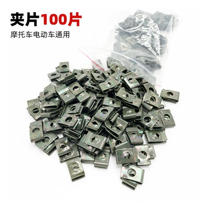 Nuts, Charging Port Clips, Iron – Other Electric Vehicle Accessories - 100-clips