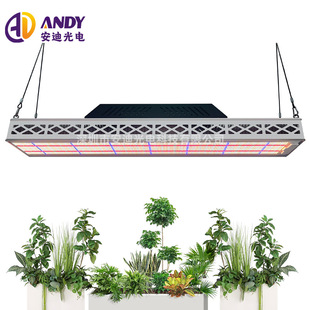 �羳ֲ���600��ȫ���V�����Ҵ����߲˷Nֲ�a���L�lֲ�����L��S