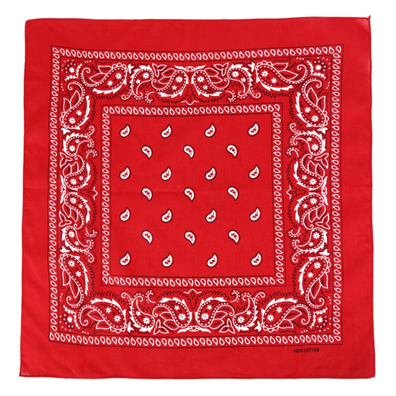 Factory Wholesale European and American Cashew Flower Square Scarf Outdoor Sports Cycling Hip-Hop Spot Pure Cotton Insect Printed Headscarf