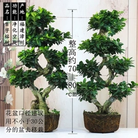 收纳架;厨房置物架;衣架