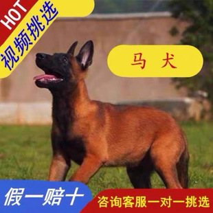 ���N�RȮ��Ȯ���w�RȮ����Ȯ����Ȯ��Ȯ�߄����RȮ���t�RȮ���l