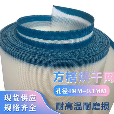 産地工廠耐溫聚酯烘幹網 封邊包邊方格方孔篩網過濾塑料網帶