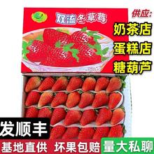 四季草莓新鲜商用水果烘焙蛋糕糖葫芦奶茶双流草莓4盒装顺丰包邮