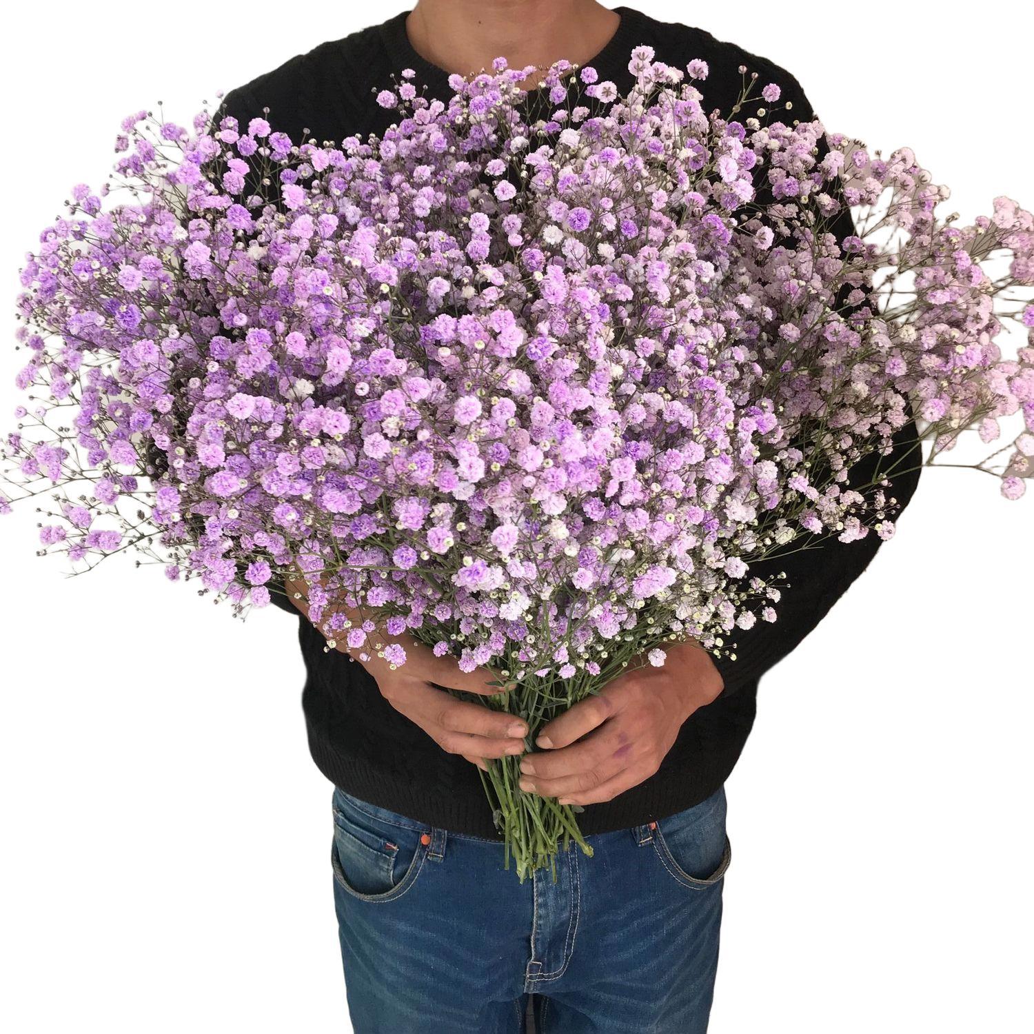 Gypsophile Myosotis séché, décoration d'intérieur, salon, fleur fraîche éternelle, grand bouquet pour la Saint-Valentin_voghion.com
