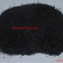 Sҹ߲ˮܷʺ徫  øⷨ~_ʩʺ徫