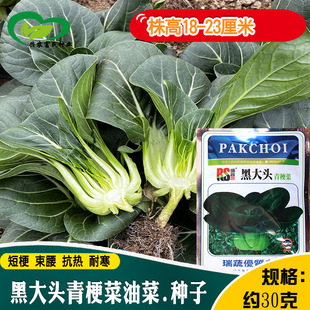 �ڴ��^�๣�Ͳ˷N�� �r��ˈ@������������Ͳ����ļ�����