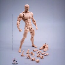 �F؛ �Lģ�� Wind Toys 1/12 fmw001 ���Ʉ��������w �������w