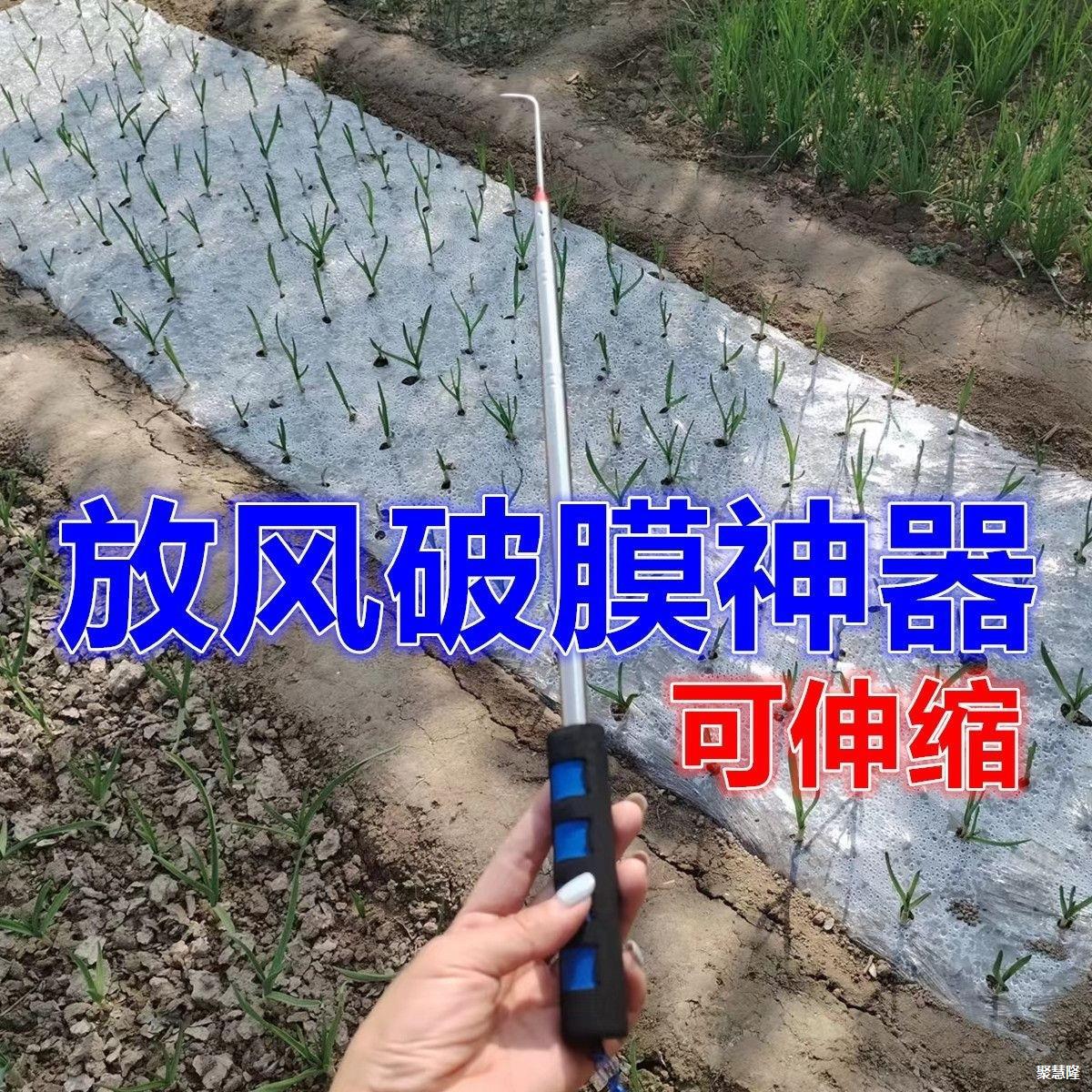 勾蒜神器拉蒜苗神器钩挑蒜芽划地膜破膜放风蒜苔蒜薹出苗钩子工具