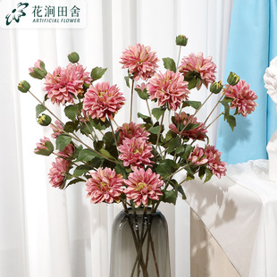 ���滨�������������f�۾� �ҾӔzӰ��c�bٻ����l�廨ˇ�[��