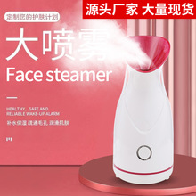 跨境蒸臉儀補水儀美容儀家用熱蒸氣納米噴霧熱噴果蔬蒸臉器美容機