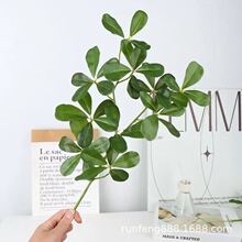 3D�ϙ�֦�Gֲ�����b�ֲ���Ć�֧�zƬ����֦�zӰ���߸߷���