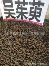 ��ș�ą����� ������ �����Ә� ������ ���� ���� 500��