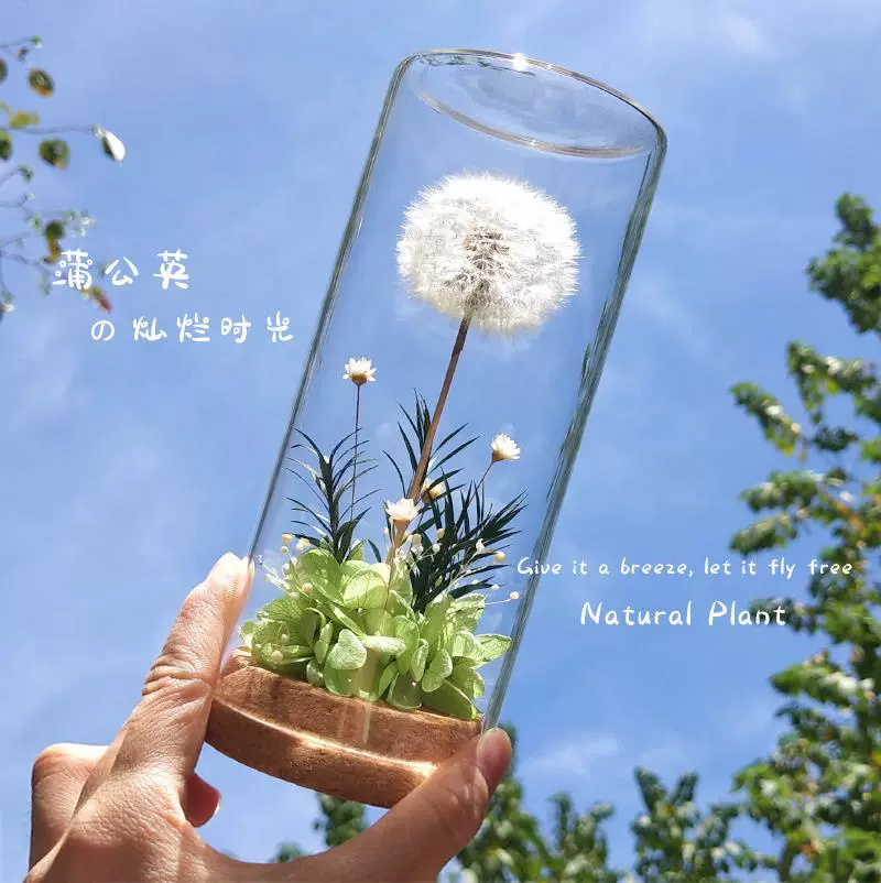 永生花蒲公英玻璃罩摆件毕业季教师节礼盒生日礼物送女生创意礼品