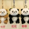 Genuine panda (single price}