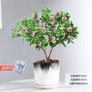 ��߅���������ͺ��辰�������F���ܶ����_�������՚��ļ�����ֲ��