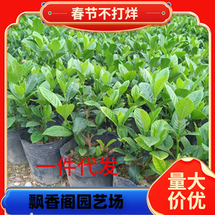 һ�����l���~�d�ӻ��������Ի����̓����G�����҃�ֲ���ļ�������