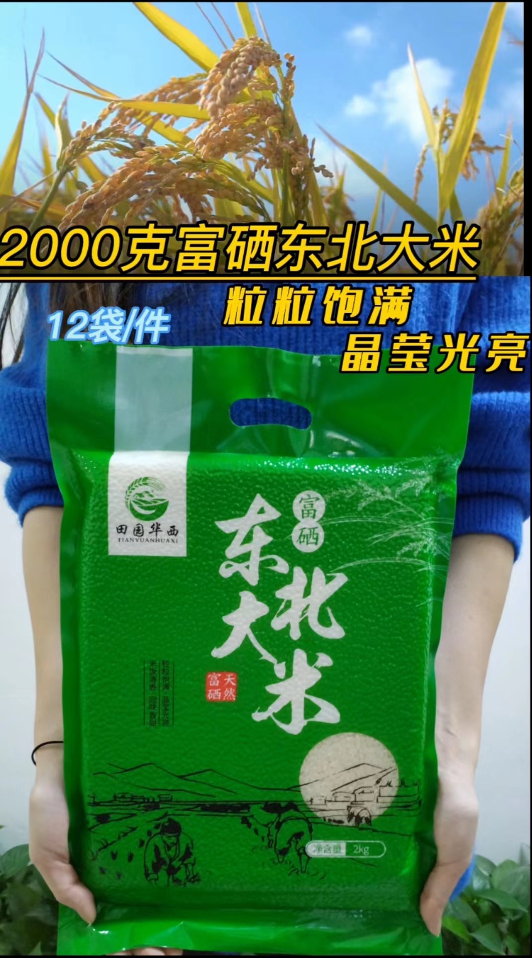 889dc356ac9822c558a050478df18d