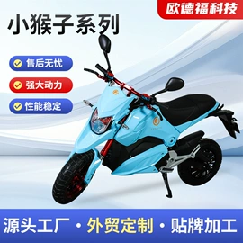 电动摩托车;两轮摩托车