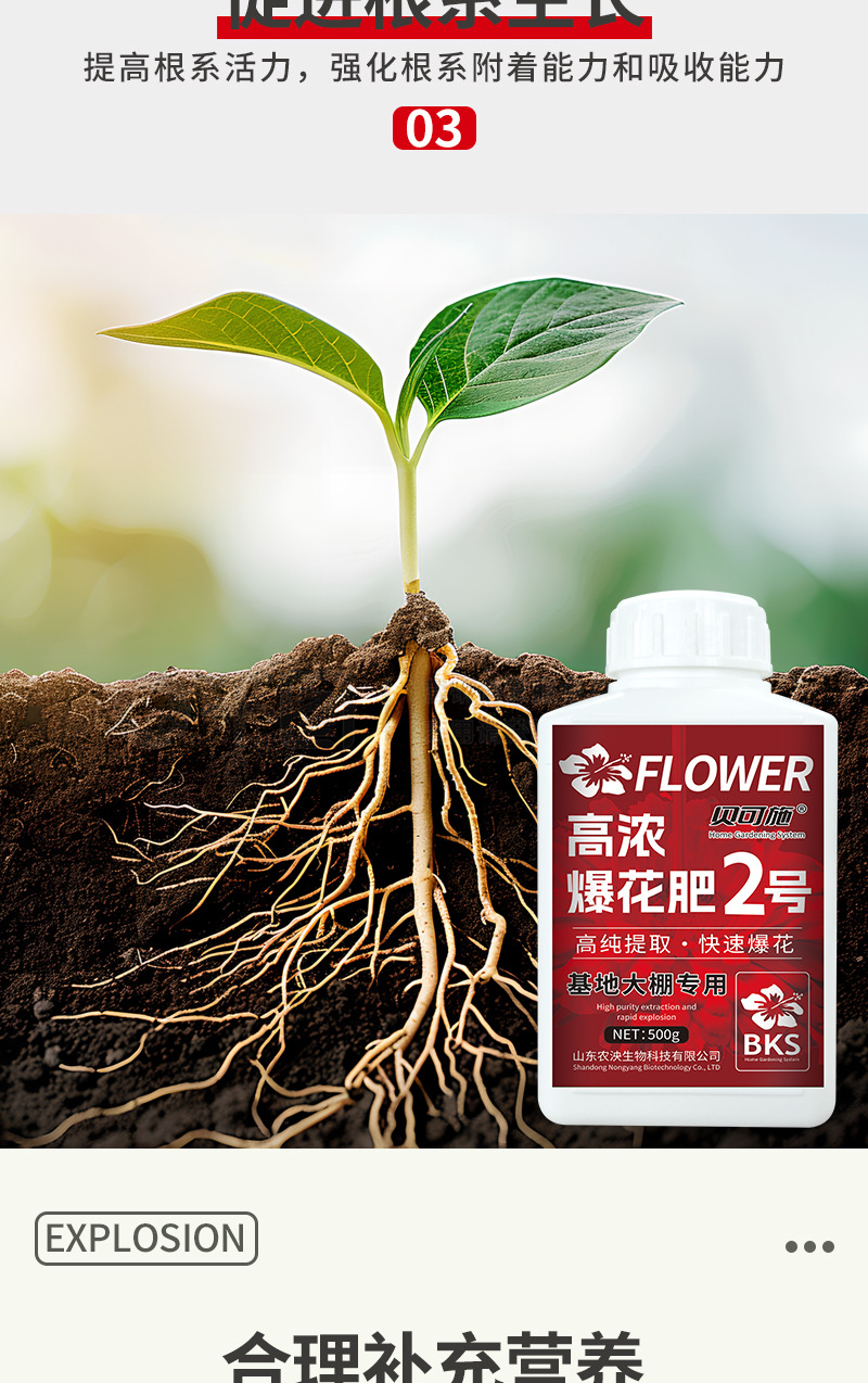 高浓爆花肥2号详情_06.jpg