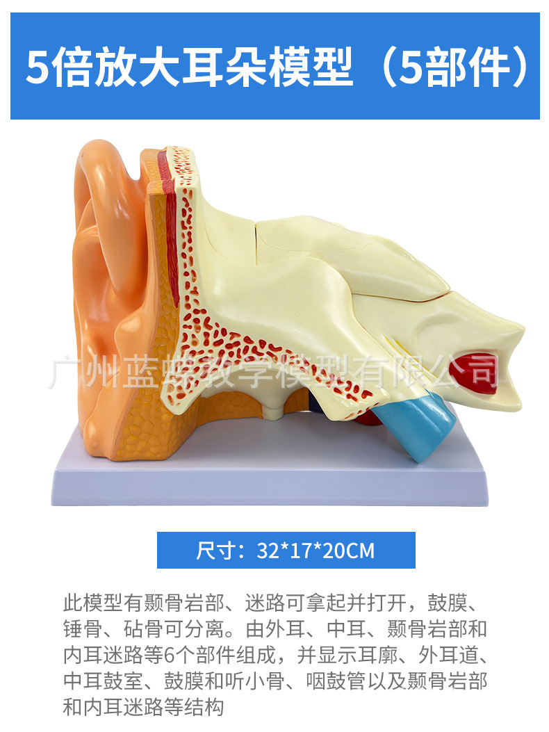 详情 (22)