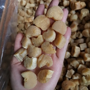 250��Ԫؐ���؛�ؼ����r���ձ���ؐ�����l�ج������ɺ�ζ������